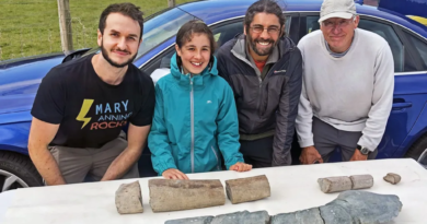 Fóssil descoberto por criança de 11 anos é do maior réptil marinho conhecido