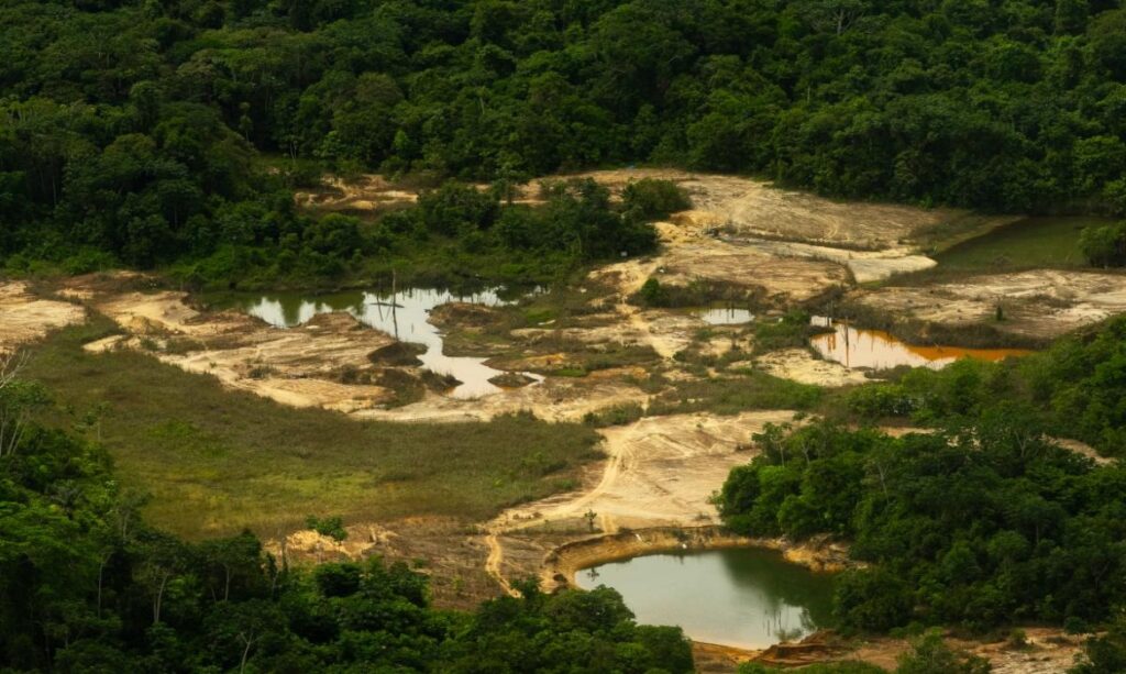 Terra Yanomami tem redução de áreas degradadas pelo garimpo, mas relatório aponta novas rotas de invasão