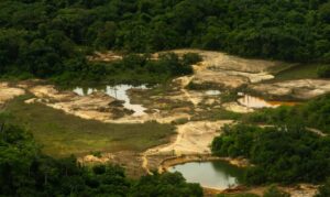 Terra Yanomami tem redução de áreas degradadas pelo garimpo, mas relatório aponta novas rotas de invasão