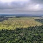 TRF1 confirma multa de R$ 4,5 milhões a ex-vice-governador por desmate de 908 hectares em Roraima