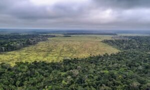TRF1 confirma multa de R$ 4,5 milhões a ex-vice-governador por desmate de 908 hectares em Roraima