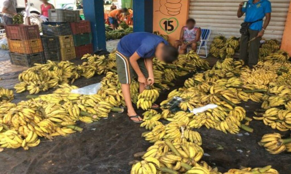 Diagnóstico do MTE aponta Boa Vista com 43,5% dos casos de trabalho infantil de Roraima