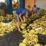 Diagnóstico do MTE aponta Boa Vista com 43,5% dos casos de trabalho infantil de Roraima