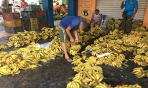 Diagnóstico do MTE aponta Boa Vista com 43,5% dos casos de trabalho infantil de Roraima