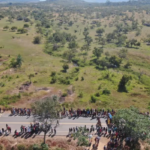 Até 5 anos: prazo para demarcação de terra indígena em Roraima é fixado em decisão do TRF1