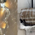 Avião interceptado pela FAB e PF com mais de 25 kg de skunk faz pouso forçado em rio na Terra Yanomami