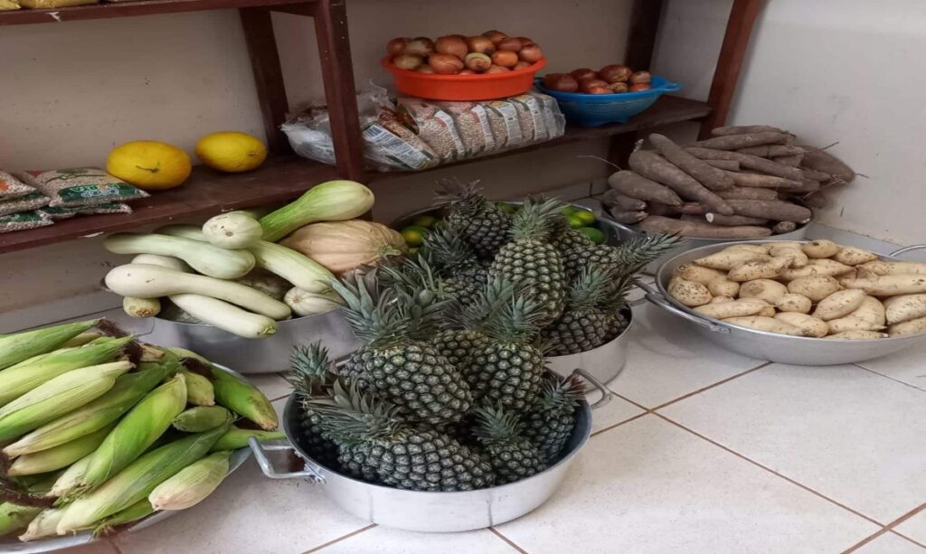 Plataforma de compras públicas passa a atender merenda escolar em unidades de ensino de Roraima