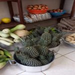 Plataforma de compras públicas passa a atender merenda escolar em unidades de ensino de Roraima