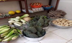 Plataforma de compras públicas passa a atender merenda escolar em unidades de ensino de Roraima