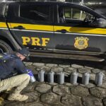 PRF apreende 253 kg de mercúrio na BR-401; acumulado do ano em Roraima passa de uma tonelada