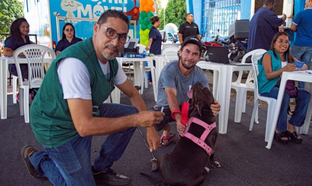 Cães e gatos podem ser vacinados contra raiva a partir deste sábado em Boa Vista
