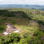 Senado deve enviar comitiva a Roraima para verificar denúncias de insegurança alimentar entre indígenas
