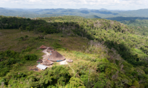 Senado deve enviar comitiva a Roraima para verificar denúncias de insegurança alimentar entre indígenas